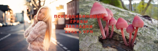 индика Абинск