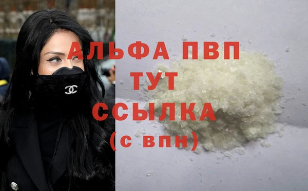 индика Абинск