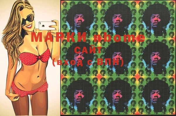 индика Абинск