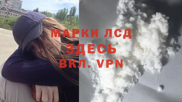 индика Абинск