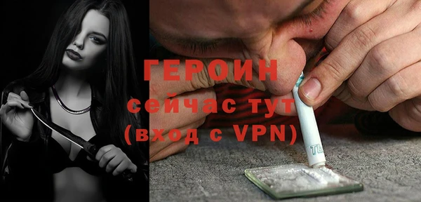 винт Галич